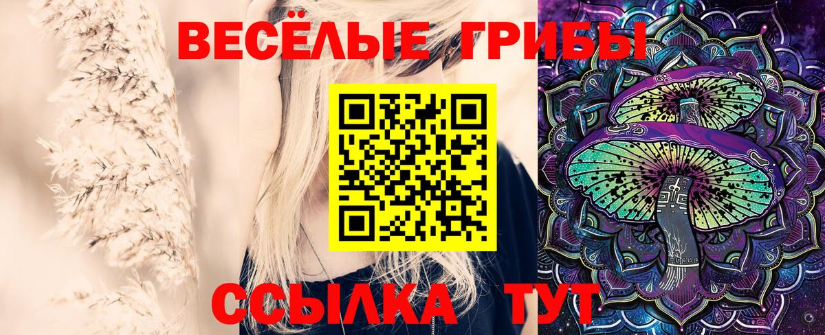 Галлюциногенные грибы Psilocybine cubensis Кореновск