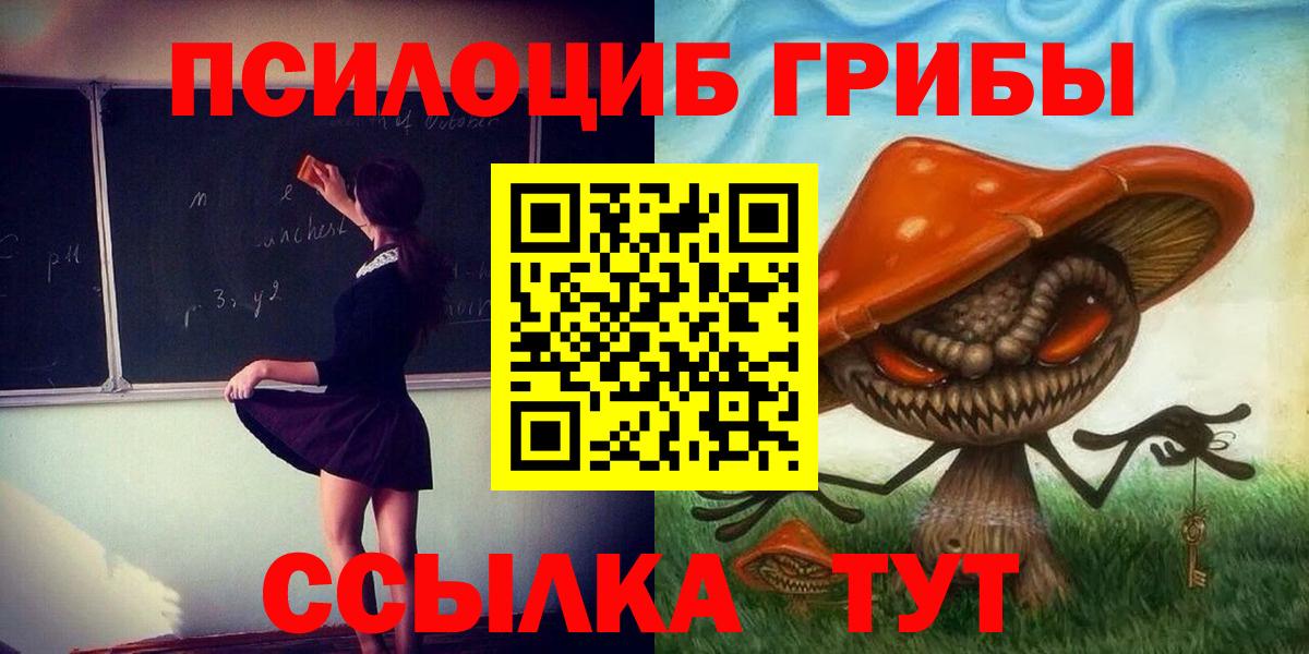 Кореновск  Псилоцибиновые грибы Psilocybine cubensis  Вход с VPN 